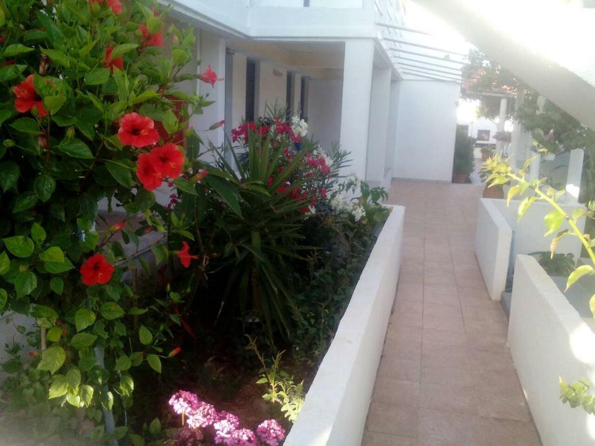 Villas Irene 5 Family Apartments Kokkini Hani Экстерьер фото