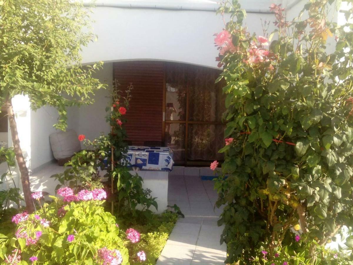 Villas Irene 5 Family Apartments Kokkini Hani Экстерьер фото